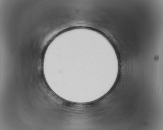 X0000113011167200910081216
