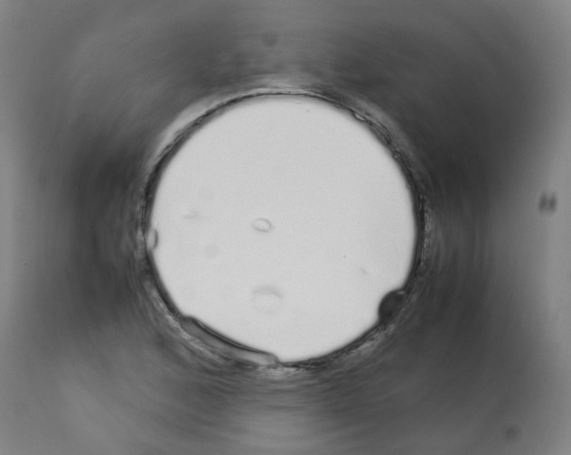 X0000113011168200910081216