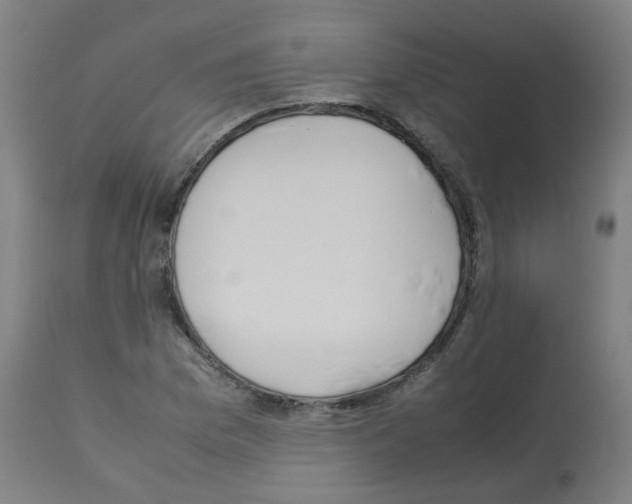 X0000113011169200910081216