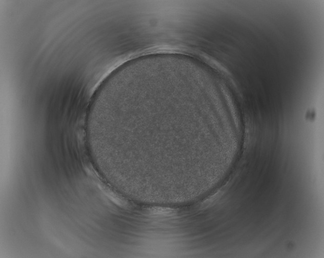 X0000113011170200910081216