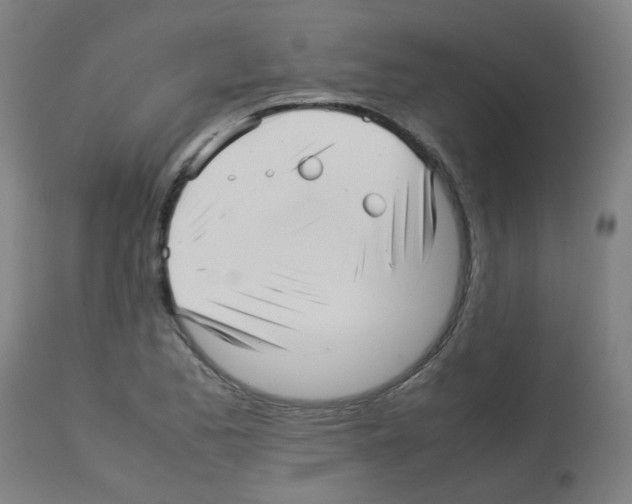 X0000113011173200910081216