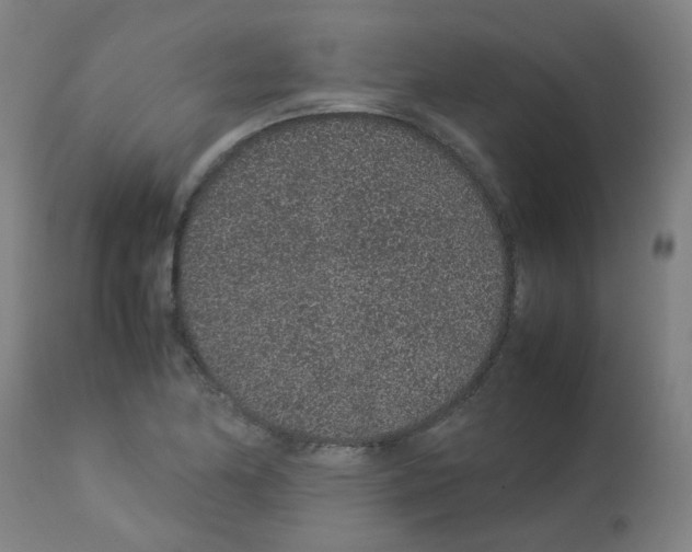 X0000113011174200910081216