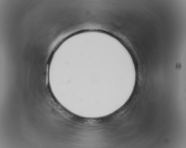 X0000113011175200910081216