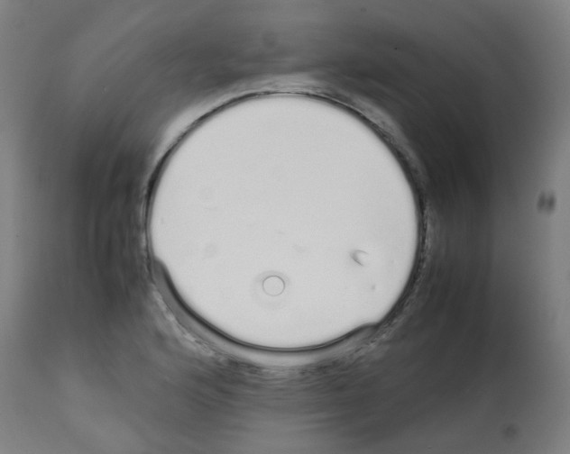 X0000113011176200910081216