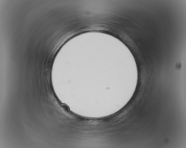 X0000113011177200910081216