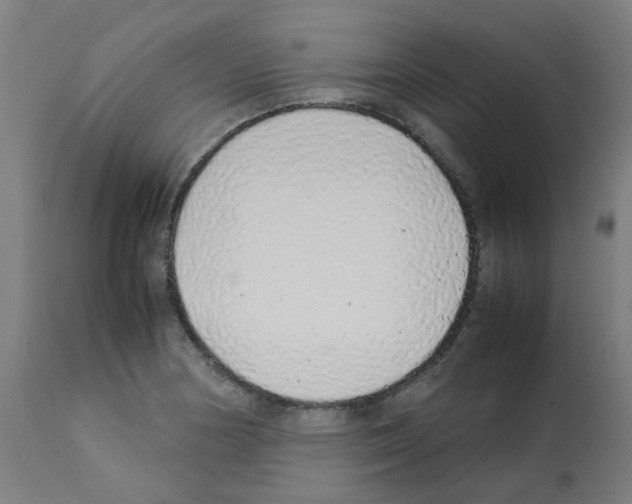X0000113011178200910081216