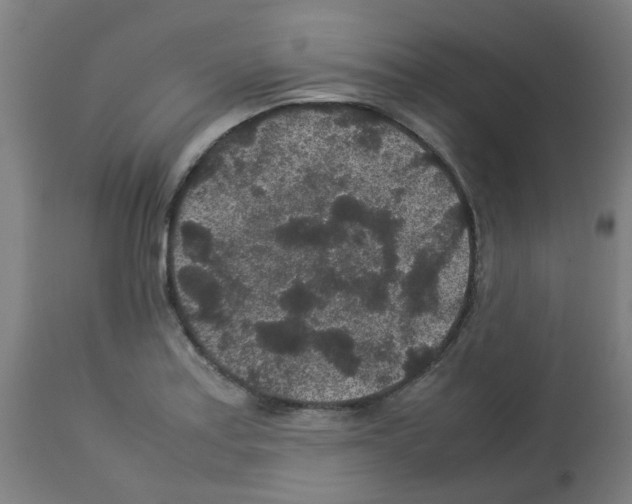 X0000113011179200910081216