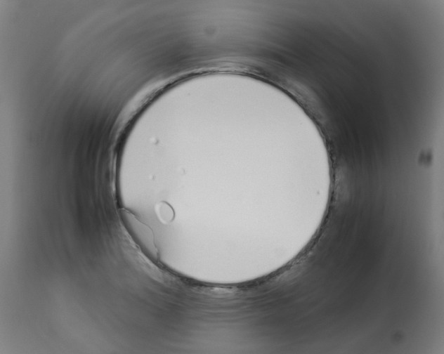 X0000113011180200910081216