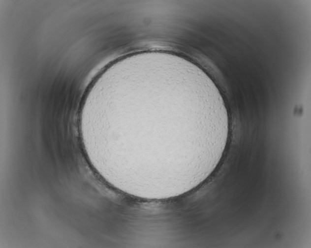X0000113011182200910081216