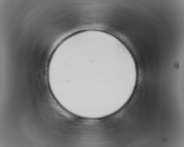 X0000113011184200910081216