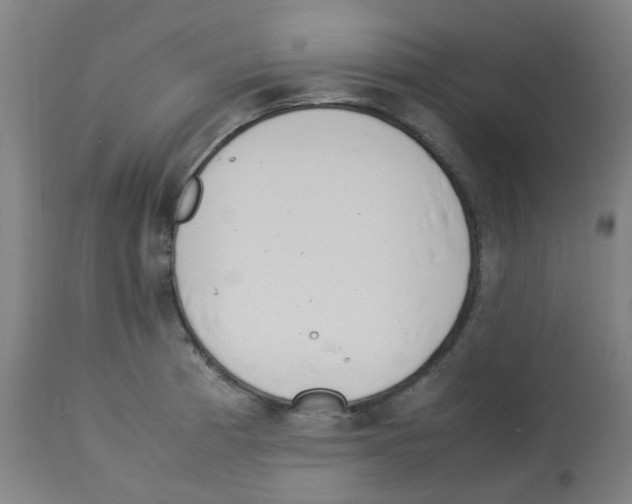 X0000113011185200910081216
