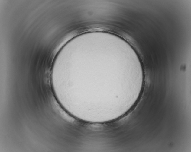 X0000113011186200910081216