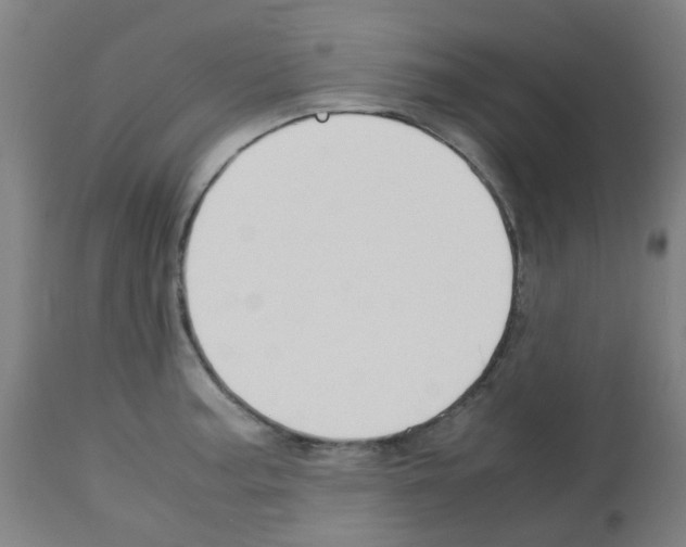 X0000113011187200910081216
