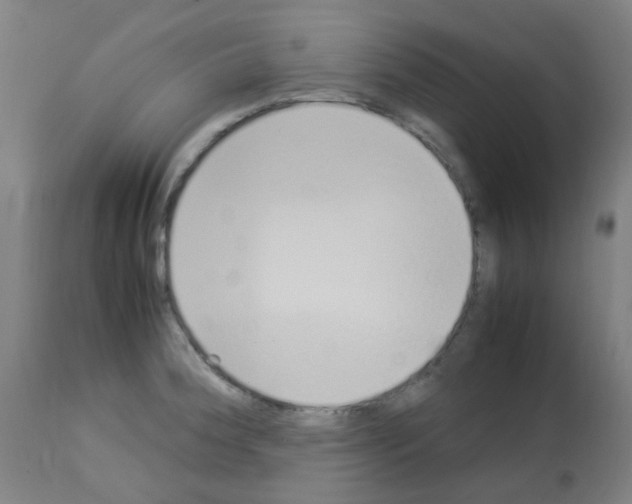 X0000113011188200910081216