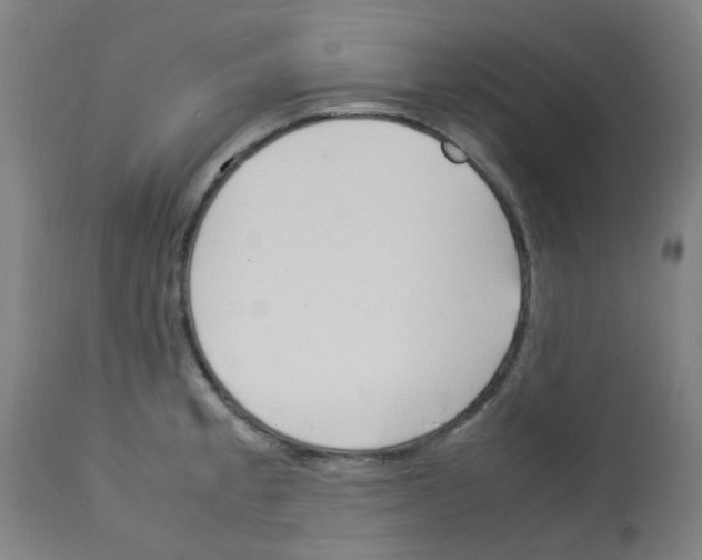 X0000113011189200910081216