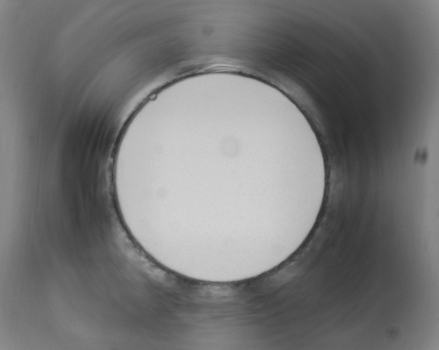 X0000113011190200910081216