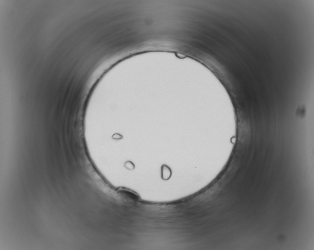 X0000113011192200910081216