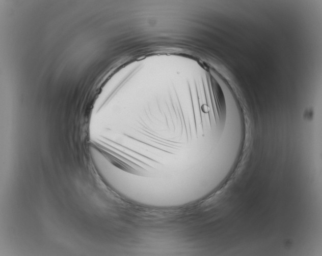 X0000113011193200910081216