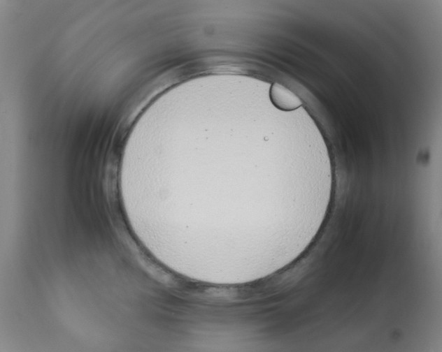 X0000113011194200910081215