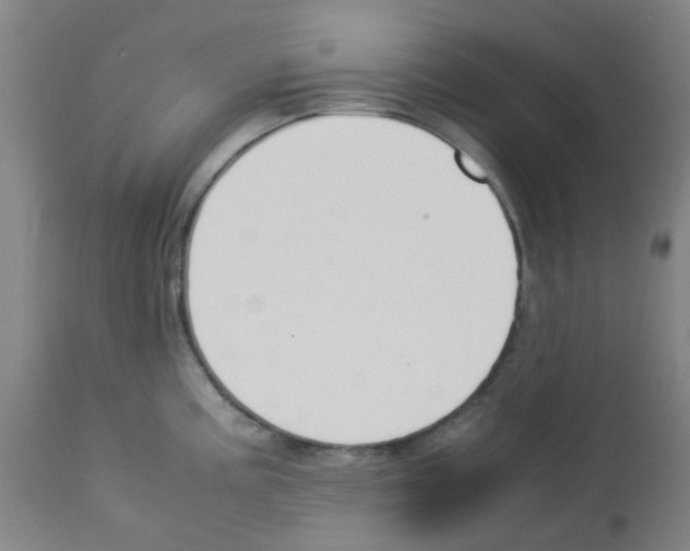 X0000113011195200910081215