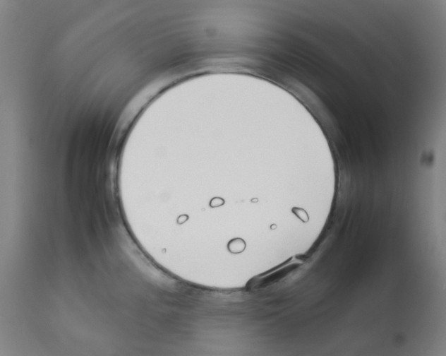 X0000113011196200910081215