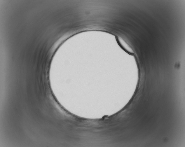 X0000113011197200910081215