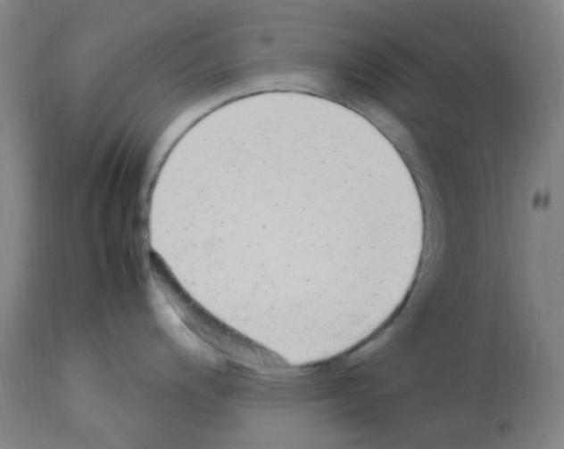 X0000113011200200910081215