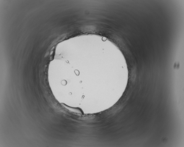 X0000113011201200910081215