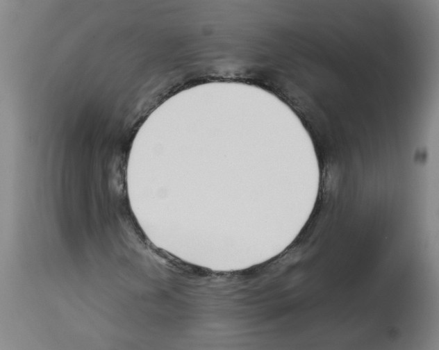 X0000113011202200910081215