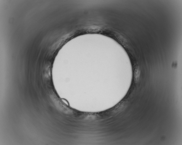X0000113011204200910081215