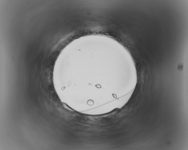X0000113011205200910081215