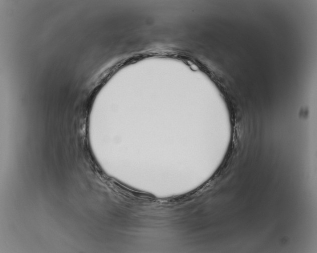X0000113011206200910081215