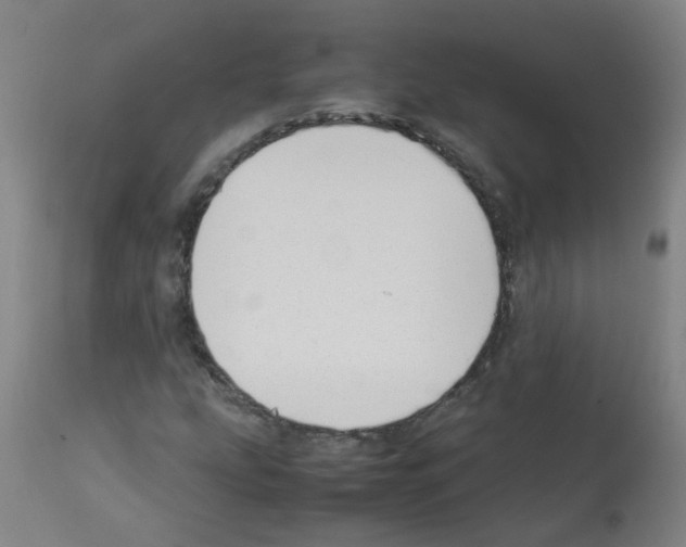 X0000113011207200910081215