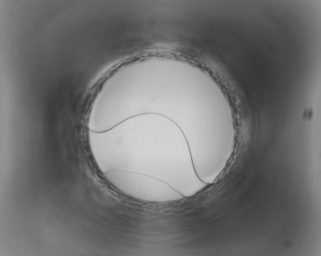 X0000113011208200910081215