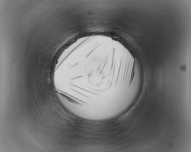 X0000113011209200910081215