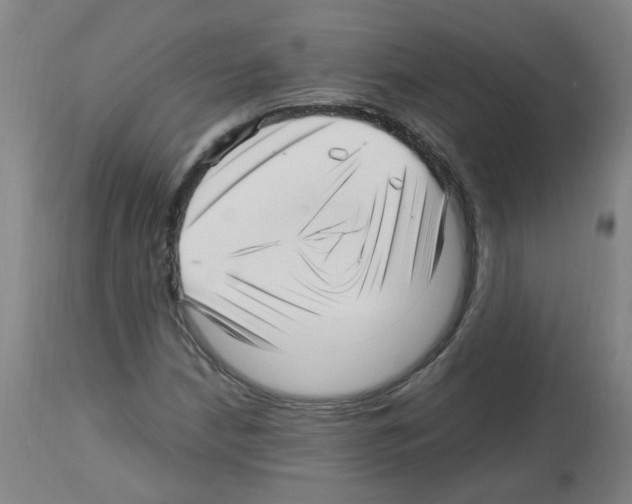 X0000113011210200910081215