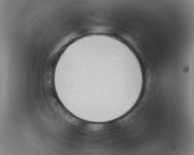 X0000113011211200910081215