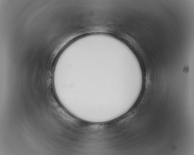X0000113011212200910081215