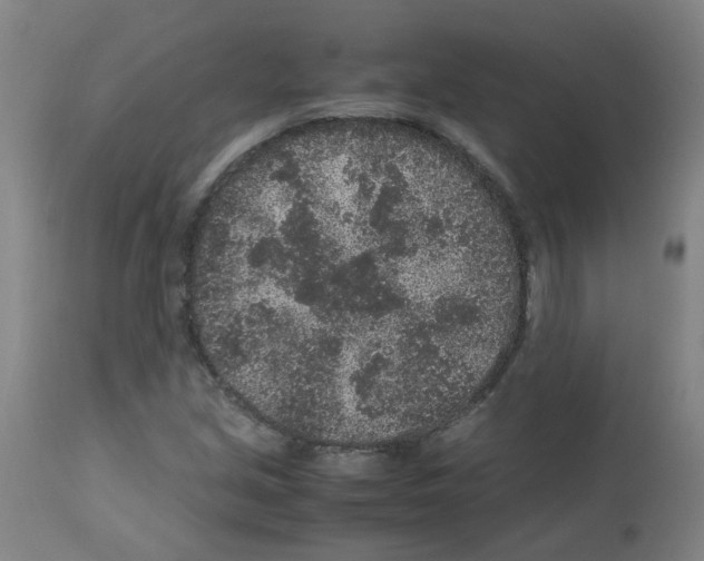 X0000113011213200910081215