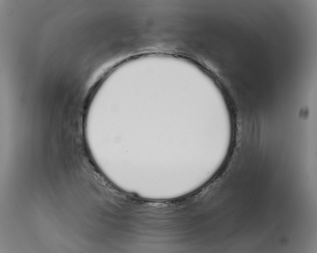 X0000113011214200910081215