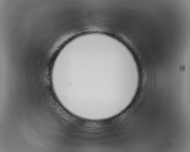 X0000113011215200910081215