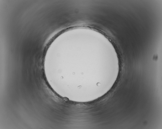 X0000113011216200910081215