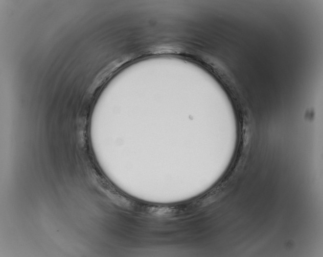 X0000113011217200910081215