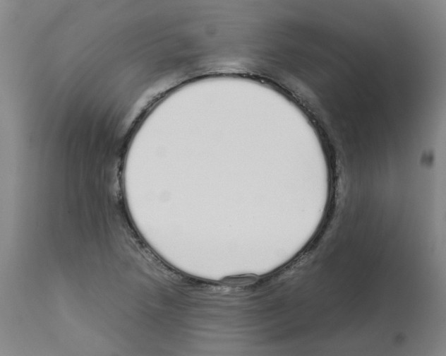 X0000113011218200910081215