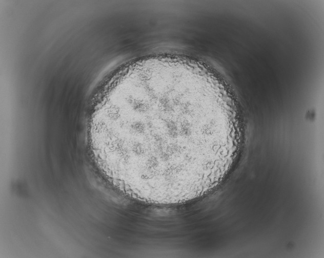 X0000113011219200910081215