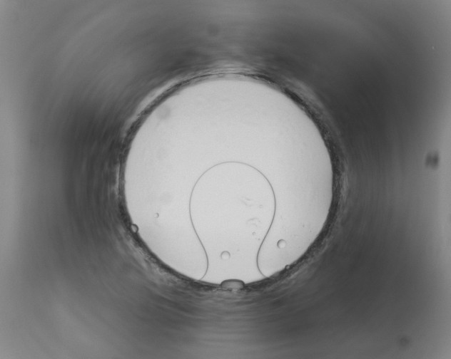 X0000113011220200910081215