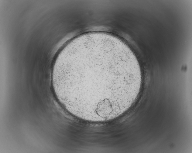 X0000113011221200910081215