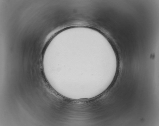 X0000113011222200910081215