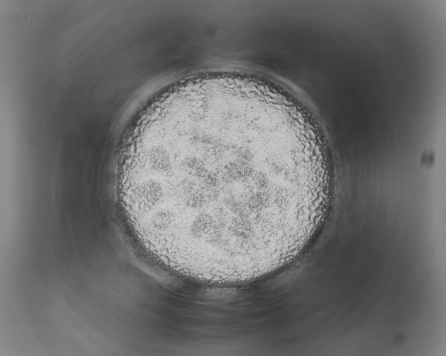 X0000113011223200910081215