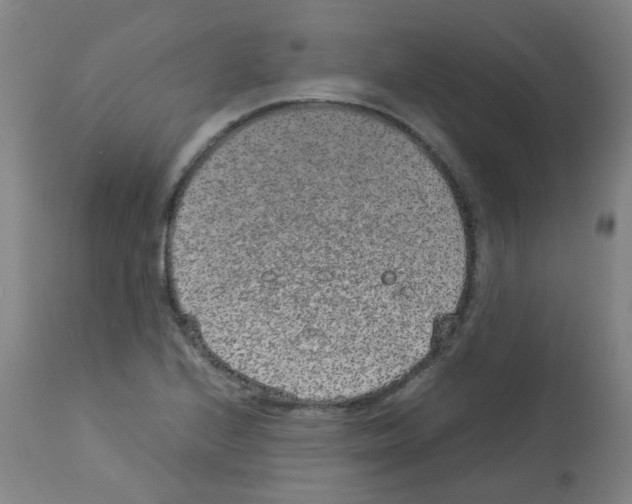X0000113011224200910081215